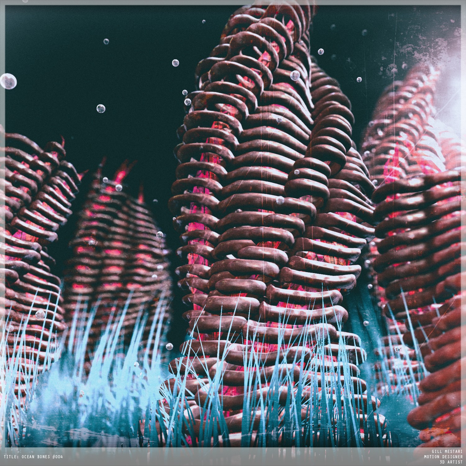 zplyntr-ALBY7MHw1BUOJjDV6cSKN-OCEAN_BONES
